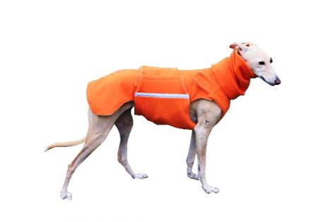 0greyhound_coat_12r.jpg 0greyhound_coat_12r.jpg