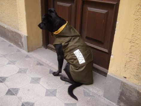 6_zaza_kutyaruha_3.jpg 6_zaza_kutyaruha_3.jpg