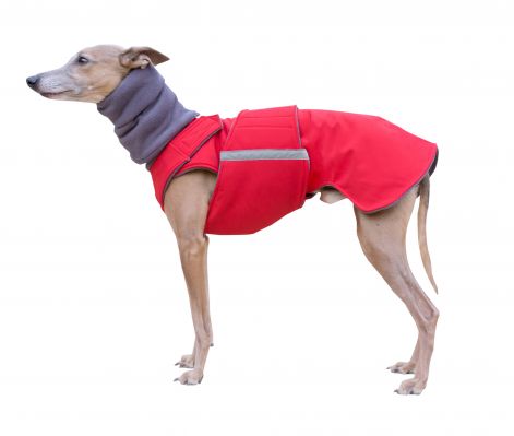 a_zaza_kutyaruha_whippet_softshell_00.jpg