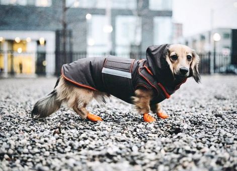 fritz.schnackenpfefferhausen_12523603_984737588266095_335475366_n.jpg fritz.schnackenpfefferhausen_12523603_984737588266095_335475366_n.jpg