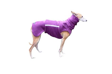 greyhound_coat_14r.jpg greyhound_coat_14r.jpg