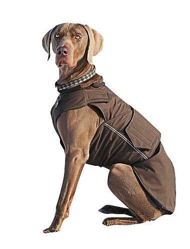 vizsla01.jpg vizsla01.jpg