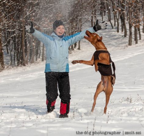 zsolt_szi_vizsla_kutyaruha_11.jpg